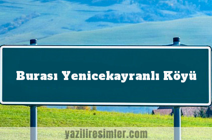 Burası Yenicekayranlı Köyü