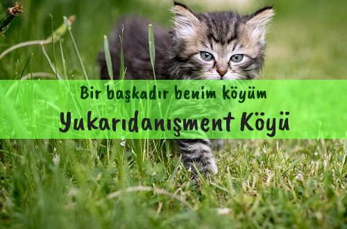 Yukarıdanışment Köyü