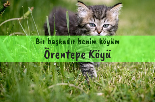 Örentepe Köyü