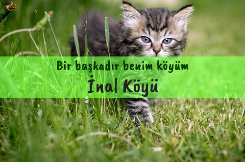 İnal Köyü