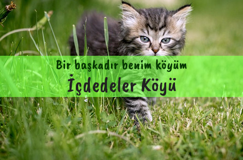 İçdedeler Köyü